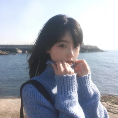 鹬 海报