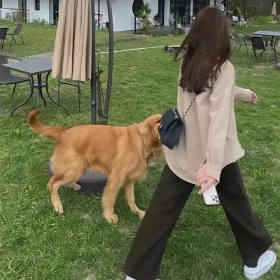 老爷坦克少爷兵 海报